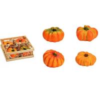 G. Wurm Kürbis in Holzbox