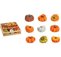 G. Wurm Kürbis in Holzbox