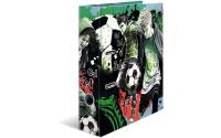 Herma Motivordner 7 cm Street Soccer