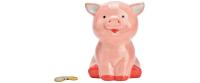 Spardose Schwein