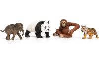 Wild Life Asien Starter-Set