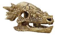 Superfish Schädel T Rex M