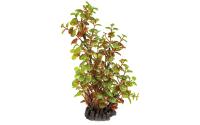 Superfish Art Plant 25cm Rotala