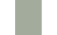 d-c-table Tischtuch Sage Green, PVC-Frei