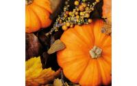 Paper + Design Servietten Fall Pumpkins