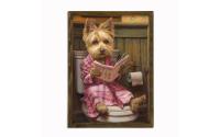Wallxpert Bild Yorkshire Terrier