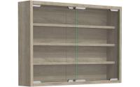 VCM Wandvitrine Agisa M