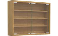 VCM Wandvitrine Agisa M