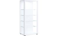 VCM Standvitrine Glasol III