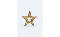STT LED 3D Star 100