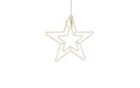 STT LED Double Star WW