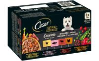Cesar Natural Goodness in Sauce 8x100g