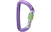 WC Carabiner Session Screw Gate