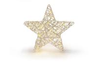 STT LED Dekoration Gold standing star