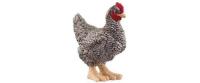 Schleich Plymouth Rock Huhn