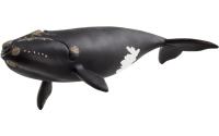 Schleich Nordatlantischer Glattwal