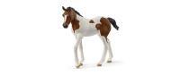 Schleich Paint Horse Fohlen