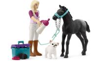 Schleich Pflegeset für Fohlen