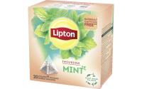 Lipton Teebeutel Minze