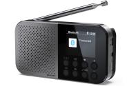Sharp portable radio DR-P520 GR