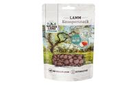 Wildesland Cat Snack Knuspersnack Lamm 50g