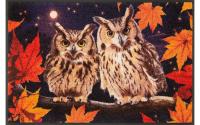 Wash+Dry Fussmatte Night Owls