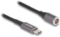 Delock USB-C Stecker