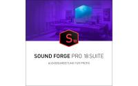 Magix Sound Forge Pro 18 Suite