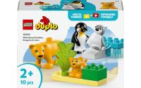 LEGO Wildtier-Familien Pinguine und Löwen