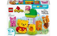 LEGO Winnie Puuhs Geburtstagsparty