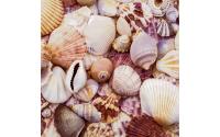 Paper + Design Servietten Seashells