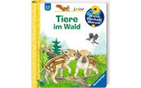 WWW junior: Tiere im Wald