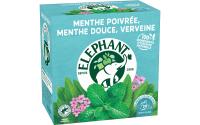 Eléphant Menthe. Mente, Verveine