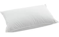 Billerbeck Piuma Pillow Classic 90