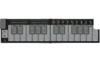 Korg nanoKEY Fold White Ltd.
