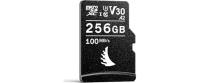AV PRO microSD 256 GB V30