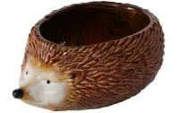 Boltze Dekoschale Igel Hegi
