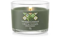 Yankee Candle Duftkerze Olive&Cypress