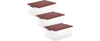 Rotho Set Box 38l COMPACT 3 tlg.