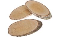 Opiflor Holzscheibe Birke oval
