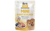Brit Care Mini Kaninchen+Lachs 24x 85g