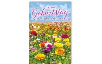 B+C Geburtstagskarte