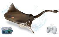 Totally Tech Stingray