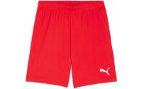 PUMA Shorts teamGOAL