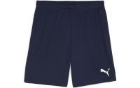 PUMA Shorts teamGOAL