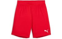 PUMA Shorts teamGOAL Jr