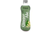 Sodapop Premium Essence Sirup Ginger Ale