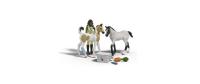 Schleich Sarahs Erste-Hilfe-Set