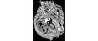 TATARUGA Samtbild A4, YinYang-Drache