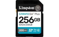 Canvas Go! Plus SDXC Card 256GB